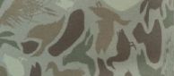 Ducklandcamo.jpg