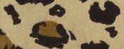 LEOPARD.jpg