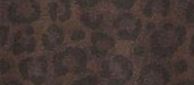 indyleopard.jpg