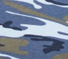 lat_BlueWoodland.jpg