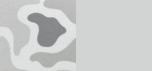 zappedoldschoolcamogrey.jpg
